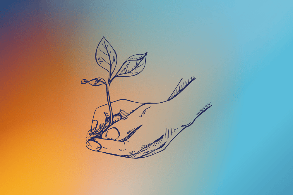 How we helped build a digital platform that's transforming UK road decarbonisation